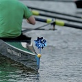 bow pinwheel.jpg